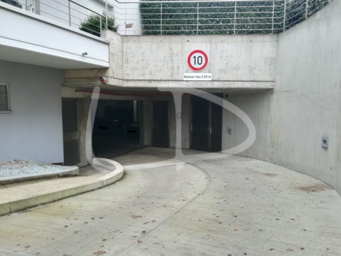 Box Cave Howald 07.jpg